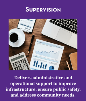 Supervision Banner. Shows picture of computer and budget report.