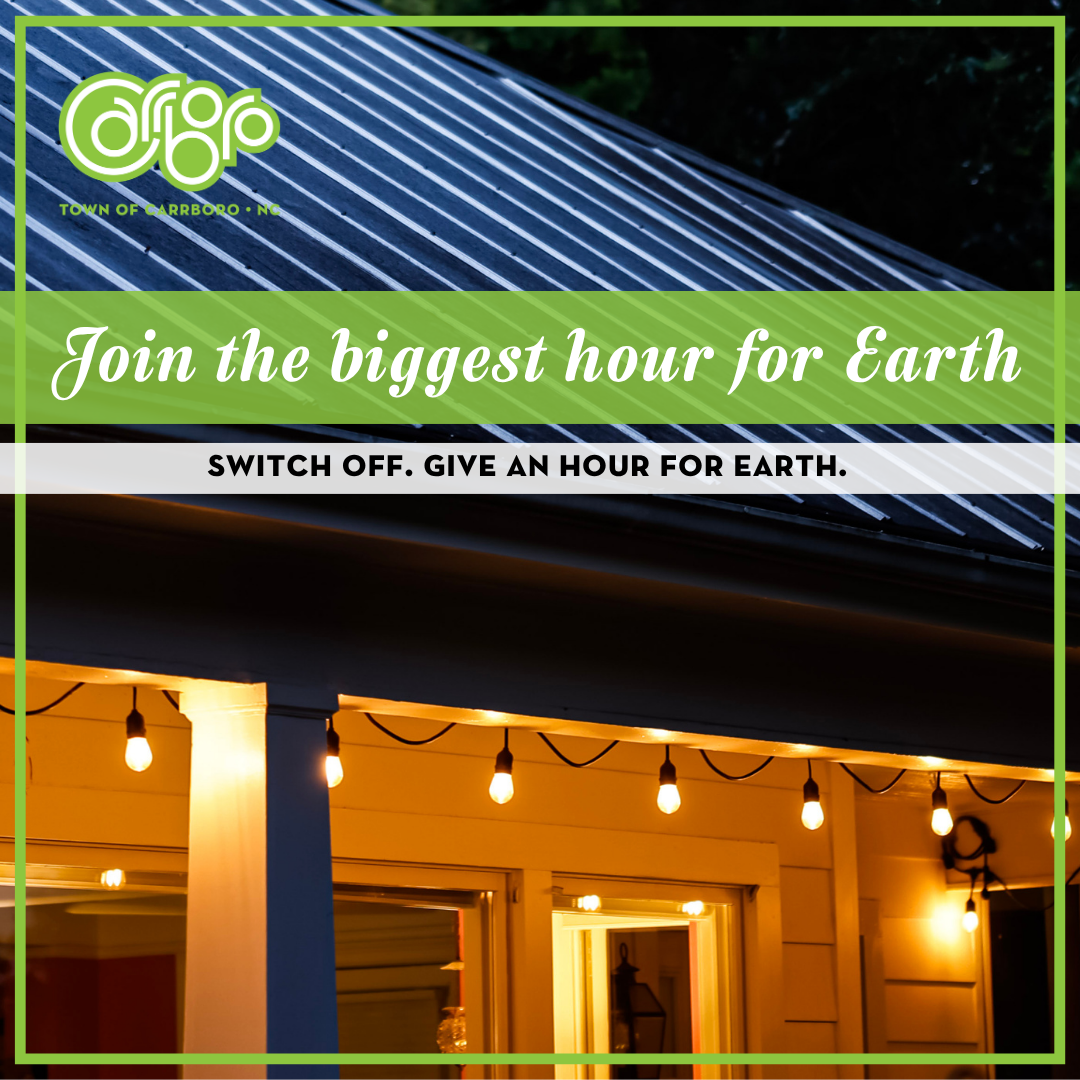 mill house in Carrboro with party lights strung up around the proch