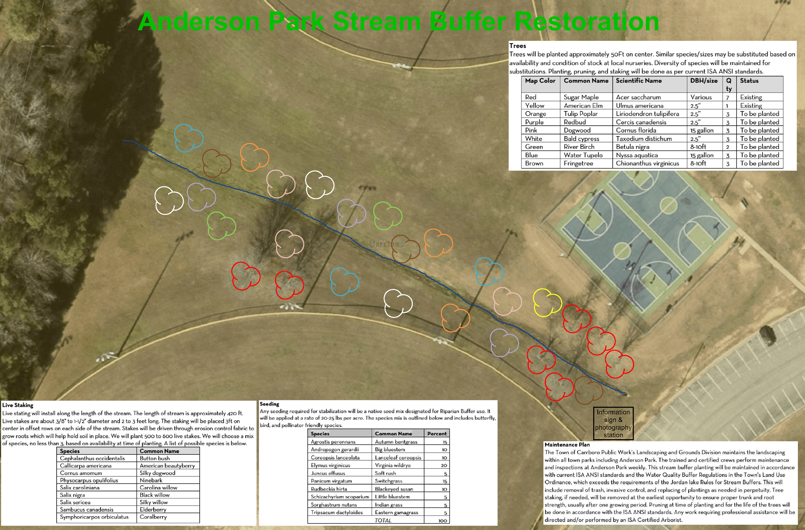 anderson park buffer restoration