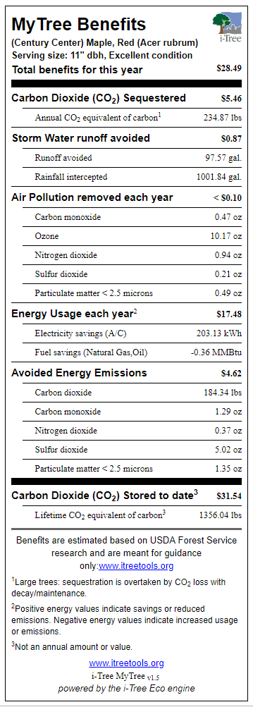 Red Maple Century Center